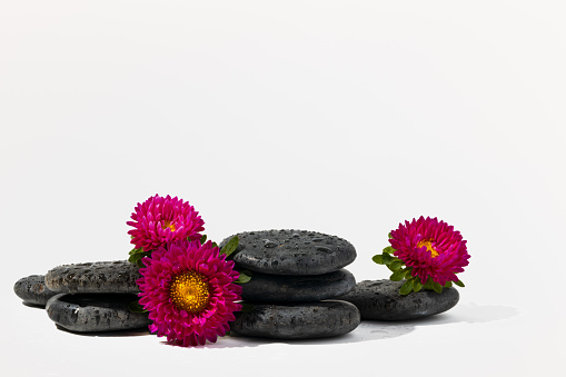 Stacked black spa stones with flowers on white background close up