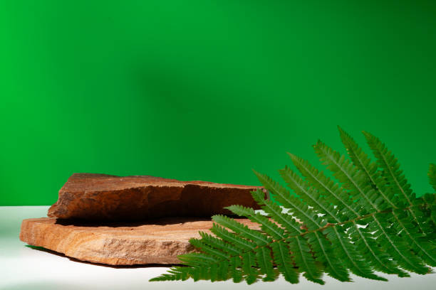 istock Stone display for product against green background 1941457232