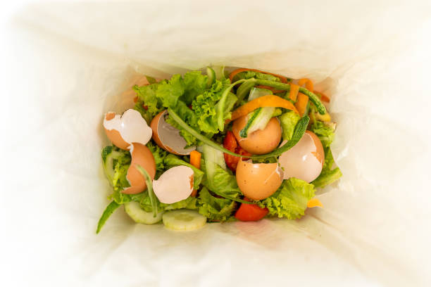 istock Ecology compost supply Kitchen waste recycling composter environmentally friendly. Fruit peel egg shell and vegetables reduce waste 1941475759