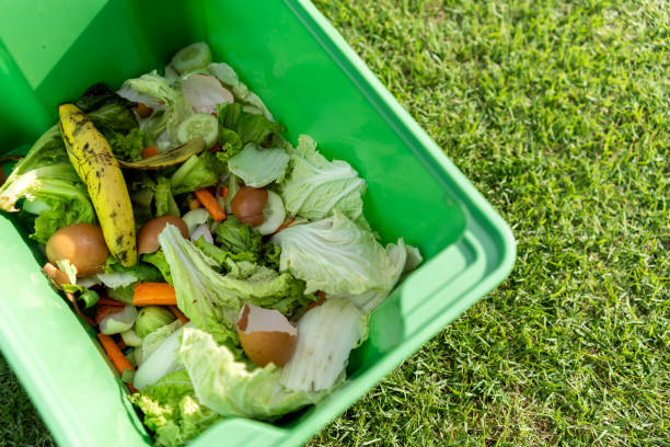 istock Ecology compost supply Kitchen waste recycling composter environmentally friendly. Fruit peel egg shell and vegetables reduce waste 1941477793