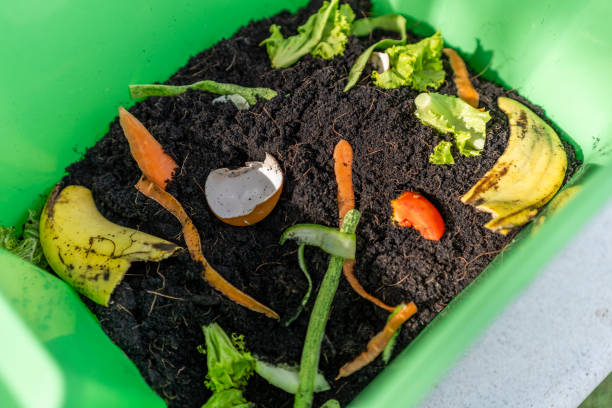 istock Ecology compost supply Kitchen waste recycling composter environmentally friendly. Fruit peel egg shell and vegetables reduce waste 1941477795