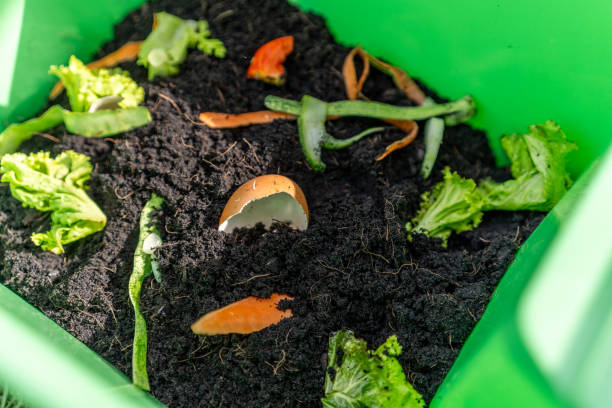 istock Ecology compost supply Kitchen waste recycling composter environmentally friendly. Fruit peel egg shell and vegetables reduce waste 1941477800