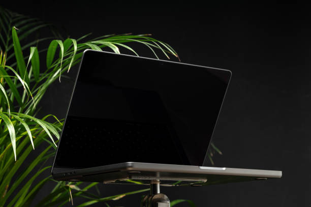 istock Laptop with green leafy potted plant on black background 1941480357