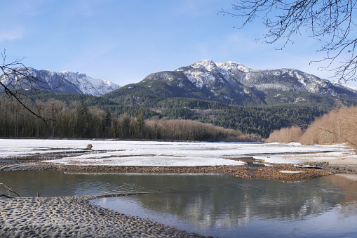 Beautiful winter landscape around Squamish River at the Brackendale Eagle Run in Squamish, British Columbia, Canada.