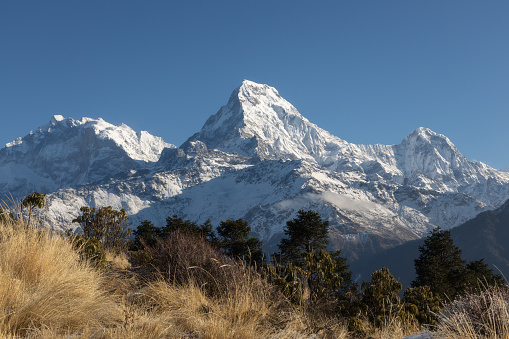 115 MPix XXXXL size panorama of Mount Ama Dablam - probably the most beautiful peak in Himalayas. \n This panoramic landscape is an very high resolution multi-frame composite and is suitable for large scale printing\nAma Dablam is a mountain in the Himalaya range of eastern Nepal. The main peak is 6,812  metres, the lower western peak is 5,563 metres. Ama Dablam means  'Mother's neclace'; the long ridges on each side like the arms of a mother (ama) protecting  her child, and the hanging glacier thought of as the dablam, the traditional double-pendant  containing pictures of the gods, worn by Sherpa women. For several days, Ama Dablam dominates  the eastern sky for anyone trekking to Mount Everest basecamp
