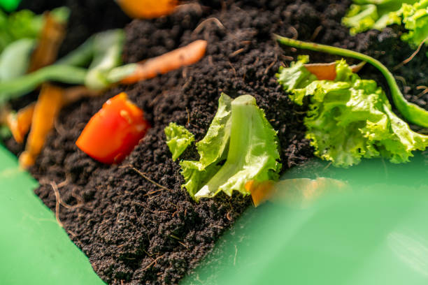 istock Ecology compost supply Kitchen waste recycling composter environmentally friendly. Fruit peel egg shell and vegetables reduce waste 1941501625