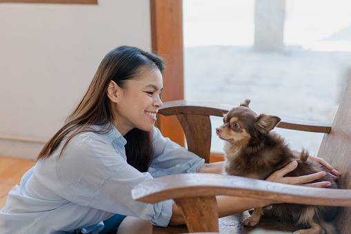 Joyful fit woman sitting having fun with cute dog on the armchair at living room one autumn day , friendship and love for pets.