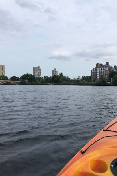 каякинг на реке чарльз, кембридж, массачусетс - boston skyline architecture kayaking стоковые фото и изображения