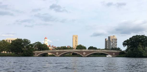 istock Harvard University Seen from the Charles River 1941567294