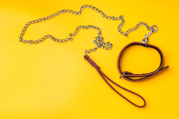 istock Dog leash on yellow background close up 1941571390