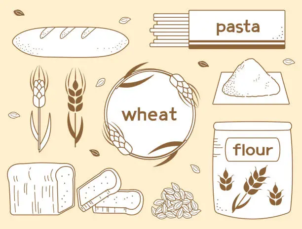 Vector illustration of A set of illustrations inspired by wheat