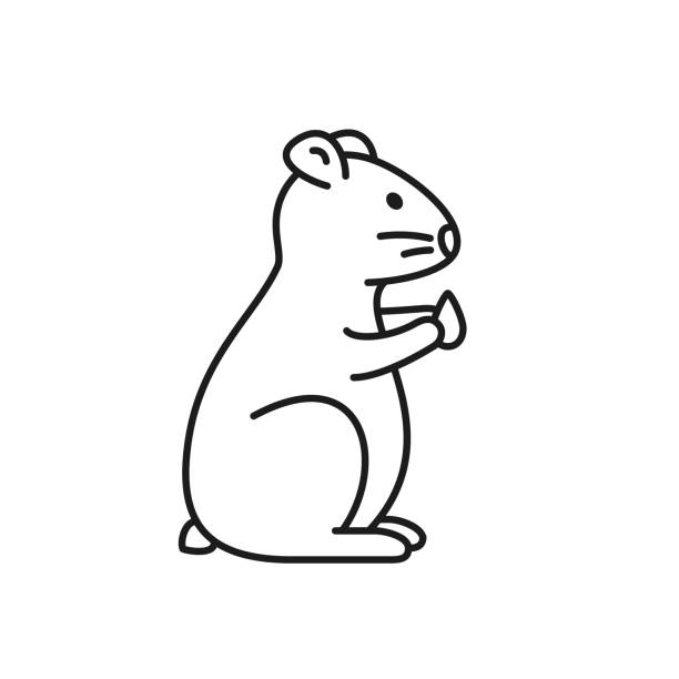 ハムスターラインのアイコン、ベクトル分離アウトライン図。 - mouse gerbil standing hamster点のイラスト素材／クリップアート素材／マンガ素材／アイコン素材