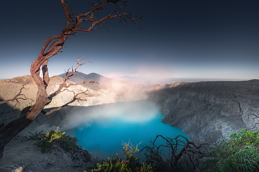 Among the several volcanoes  that I have hiked in Indonesia , Mount Ijen is undoubtedly the most magical. In the early morning, the sun shines on the blue acid lake shrouded in sulfur steam, and a few dead trees next to the cliffs form a landscape. A scene like a demonic world. Here you feel as if you have entered another planet. The colorful colors mixed with the pungent smell of sulfur stimulate your sense of sight and smell. This magical natural landscape is full of fatal temptations and is difficult to resist.