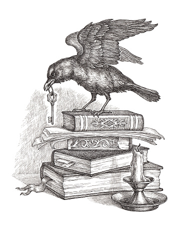 Ink and pen drawing illustration, old magic books and black raven with a key on white background.