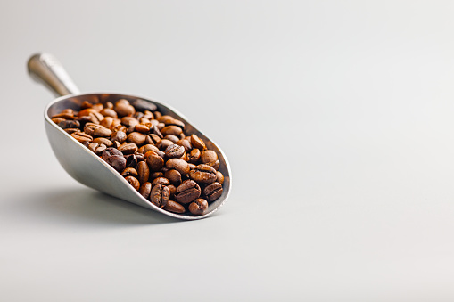 Roasted coffee beans in scoop on the gray background.