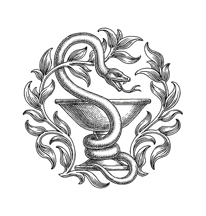 Black and white hand drawn illustration, medical snake and cup, pharmacy symbol.