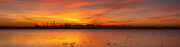 dreamy evening glow, delta, bc, canada - cloud morning delta landscape fotografías e imágenes de stock