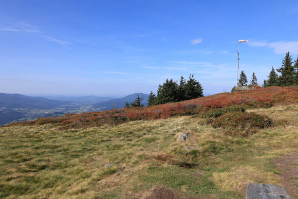 istock Autumn on the Great Osser in the Bavarian Forest 1941746147