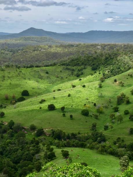 istock The Lush Australian Pasture 1941764322