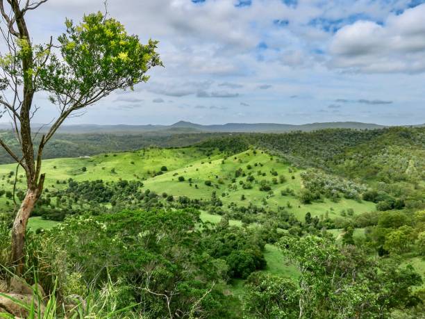 istock The Lush Australian Mountains 1941766250