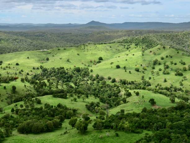 The Lush Australian Pasture