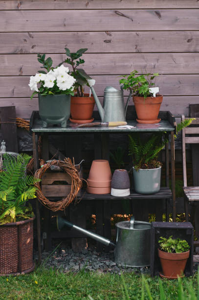 istock Gardener work bench (potting table) in summer garden. Wooden rustic style house, different tools and pots. 1941770441