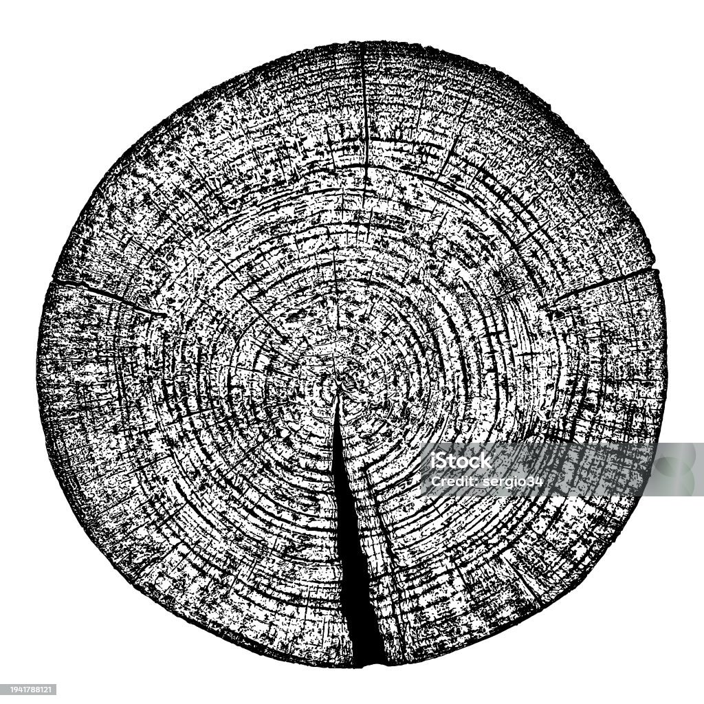 Tree Rings Cut Art Wood Texture Cross Section Of Tree Rings Stock Illustration - Download ...