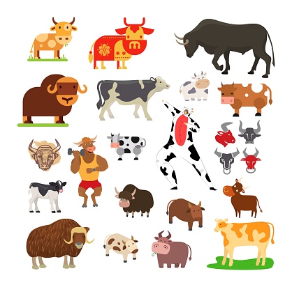 Assorted cow breeds and styles including cartoon and realistic representations. Bovine collection with various patterns and poses vector illustration.