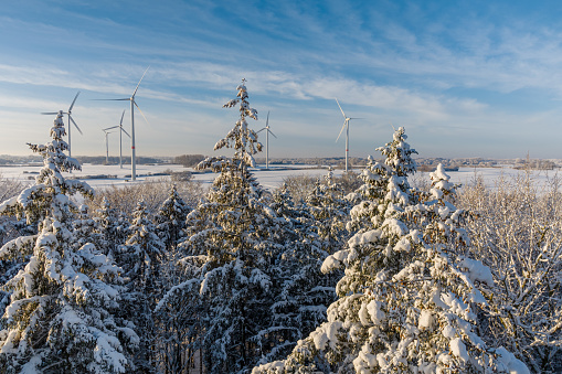 View of winter landscape with fir tree covered with snow and wind turbines on the background. Pine trees covered with snow on frosty morning. Wind mills in a white winter landscape with snow.