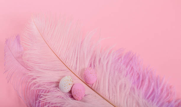 istock Easter candy chocolate eggs and almond sweets with pink feathers 1941818828