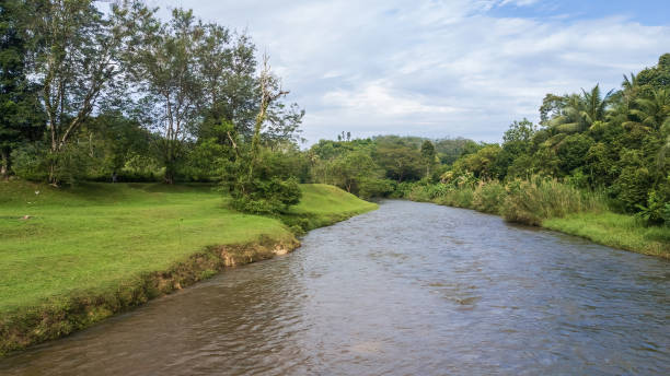 istock A river running next to Malaysia's rainforest 1941831766