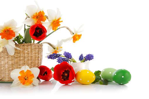 Easter eggs with spring flowers in basket. Isolated on white background.