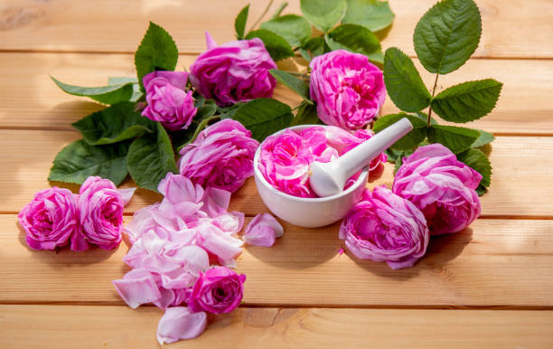 istock rose essential oil, pink rose SPA and aromatherapy. Selective focus 1941896072