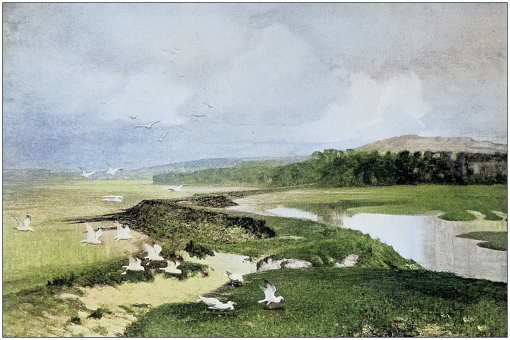 Antique dotprinted photo of paintings: Landscape