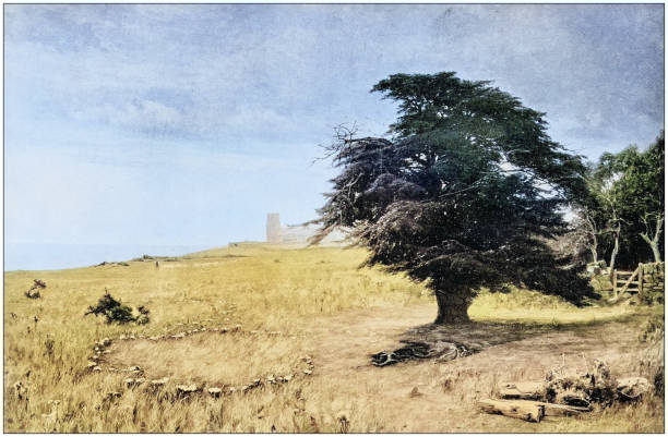 istock Antique photo of paintings: Landscape 1941941152