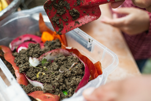 Family making compost from leftovers at an open kitchen outdoors at back yard. Father teaches his child to grow organic plants. Sustainable lifestyle and zero waste cooking concept.