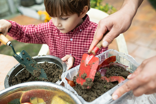 Family making compost from leftovers at an open kitchen outdoors at back yard. Father teaches his child to grow organic plants. Sustainable lifestyle and zero waste cooking concept.