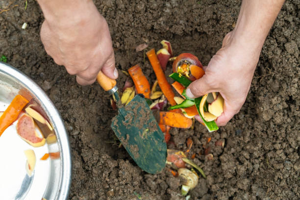 istock Man making compost from leftovers at back yard. Sustainable lifestyle and zero waste cooking concept. 1941950432