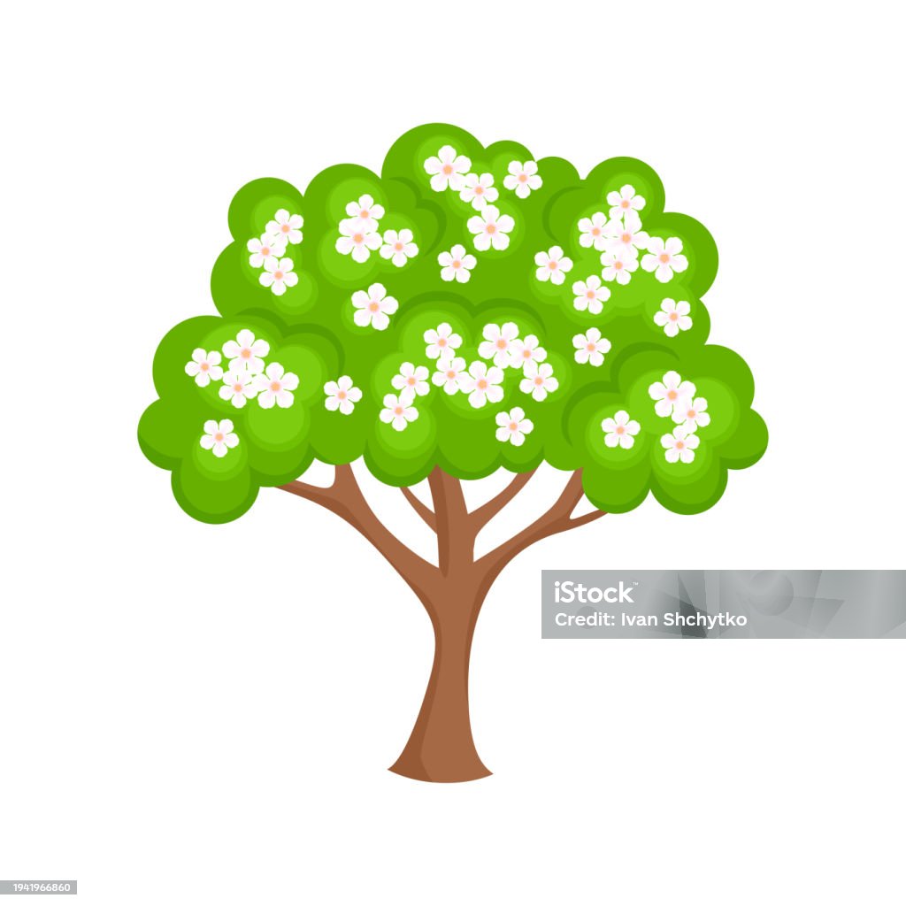 Spring Tree Cartoon Simple Blooming Tree Isolated On White Background Vector Cartoon Flat ...