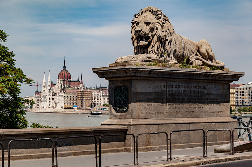 One of the lions of the Chain bridge over the Danube river and the Hungarian Parliament Building in Budapest, Hungary