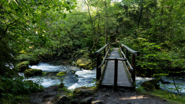 istock Gollinger Waterfall in Salzburger Land 1942003315