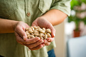 Close up of woman's hands holding pistachio heap