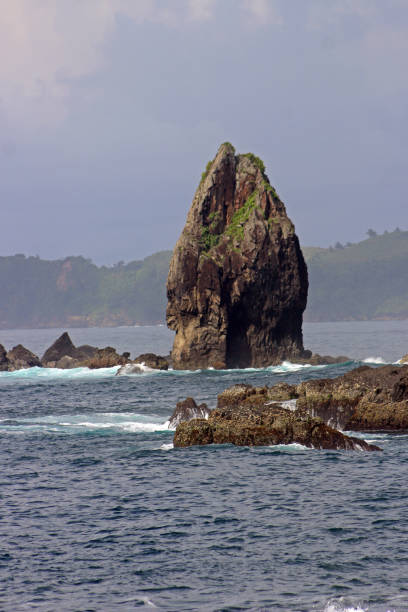 istock Beautiful rocky beach in Blitar, East Java Indonesia. 1942094003