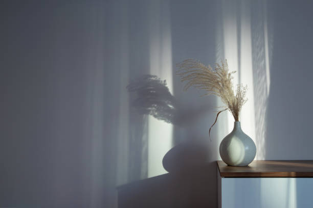 istock dry cereal ornamental plants in vase on background white wall 1942097183