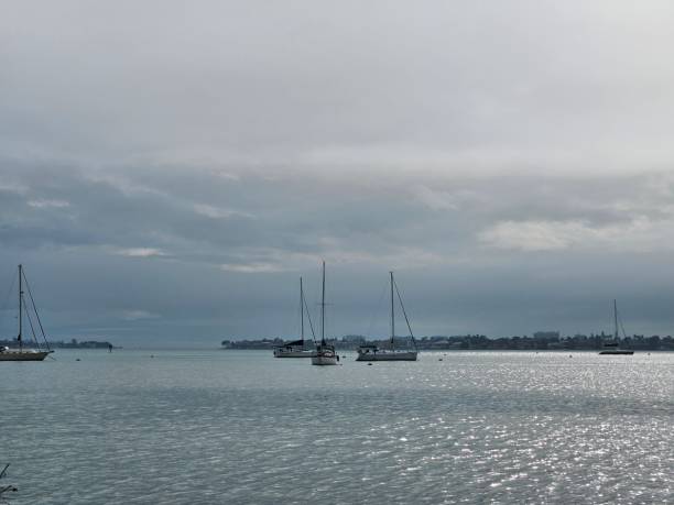 istock Overcast skies at Sarasota bayfront 1942105380