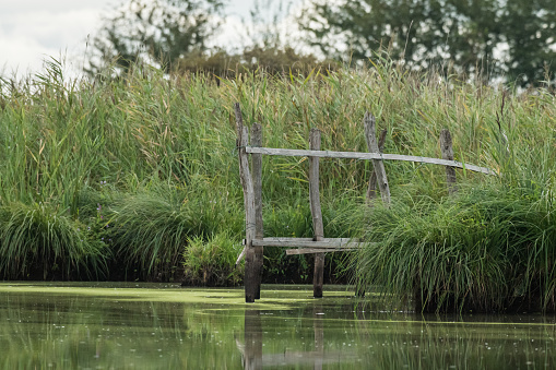 beautiful wetland in Briere Regional Natural Park (northern France), cloudy day in summer