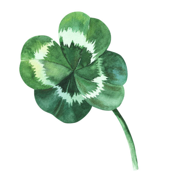 istock Four-leaf clover. Watercolor illustration isolated on white background. Saint St Patrick Day good luck symbol. For decoration, flyers, design 1942126349