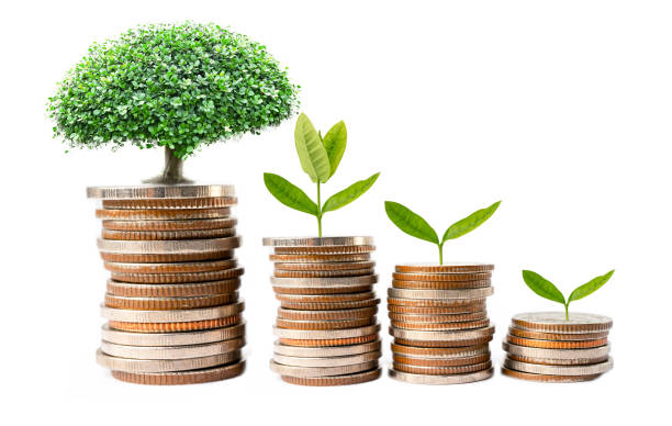 istock Tree plumule leaf on save money stack coins, Business finance saving banking investment concept. 1942129112