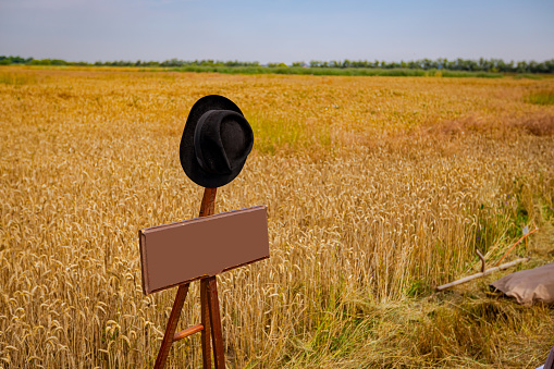 Black man textile hat placed on empty information banner, wooden board placed in front of field, farmland of mature grain, wheat with yellow ears ready for traditional manually mowing.