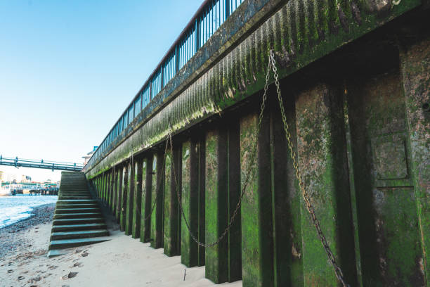 istock Thames wall detail on Bermondsey Beach 1942144837